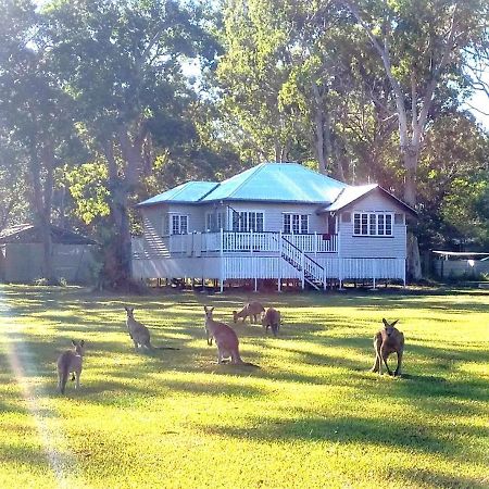 Lake Weyba Noosa Lodge & Kangaroos 페레지안 비치 외부 사진