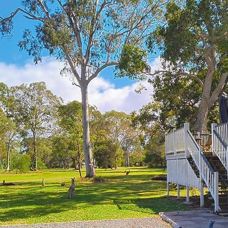 Lake Weyba Noosa Lodge & Kangaroos 페레지안 비치 외부 사진