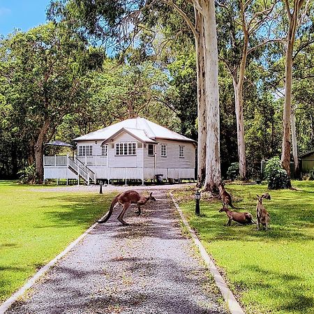 Lake Weyba Noosa Lodge & Kangaroos 페레지안 비치 외부 사진
