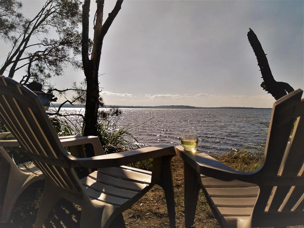 Lake Weyba Noosa Lodge & Kangaroos 페레지안 비치 외부 사진