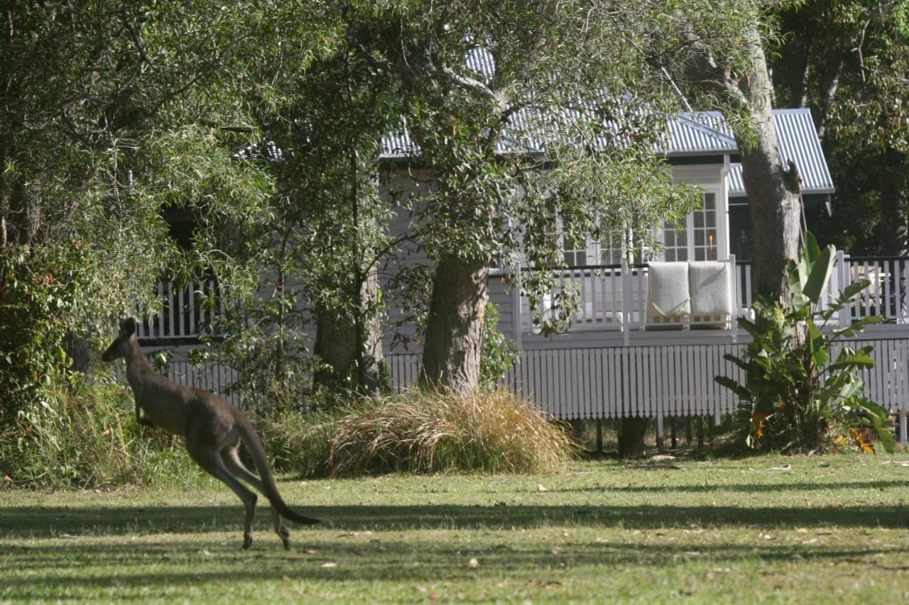 Lake Weyba Noosa Lodge & Kangaroos 페레지안 비치 외부 사진