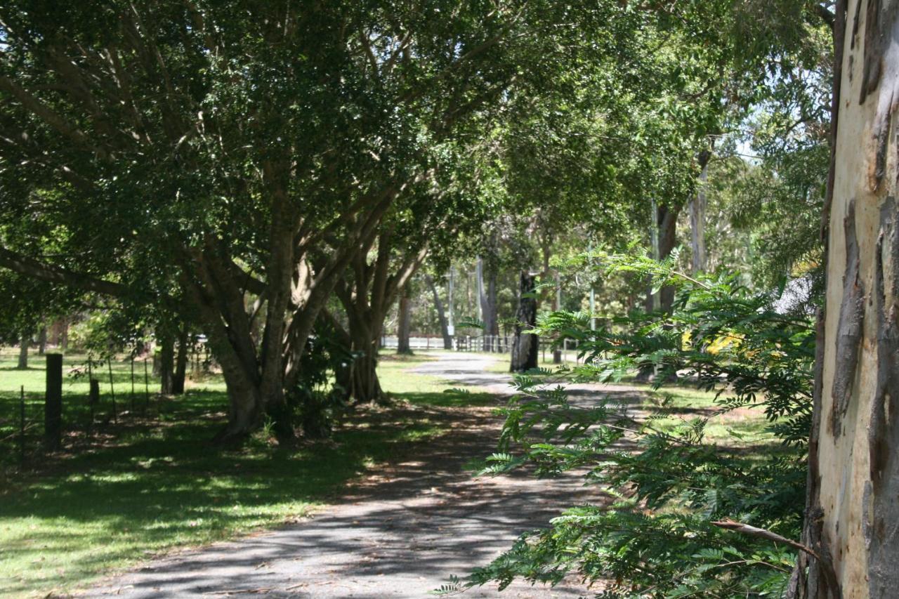 Lake Weyba Noosa Lodge & Kangaroos 페레지안 비치 외부 사진