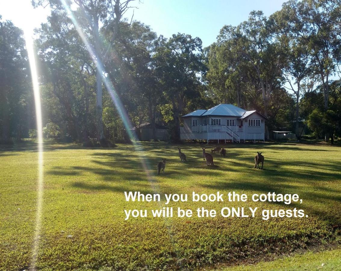 Lake Weyba Noosa Lodge & Kangaroos 페레지안 비치 외부 사진