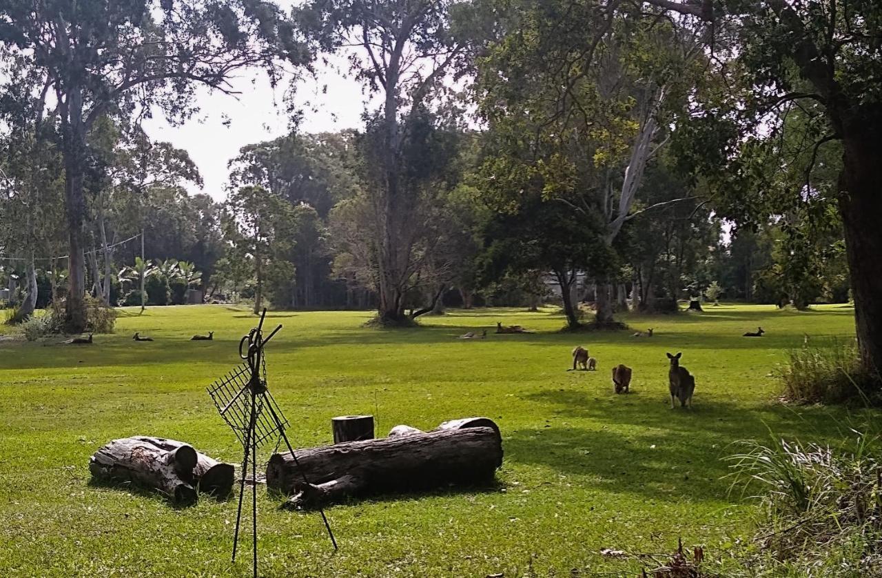Lake Weyba Noosa Lodge & Kangaroos 페레지안 비치 외부 사진
