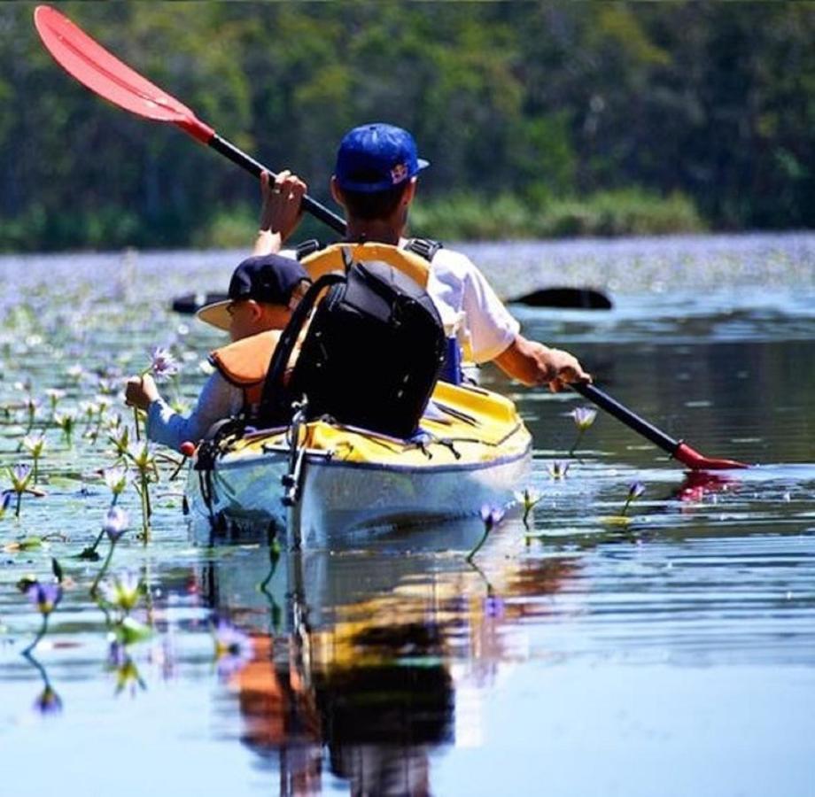 Lake Weyba Noosa Lodge & Kangaroos 페레지안 비치 외부 사진