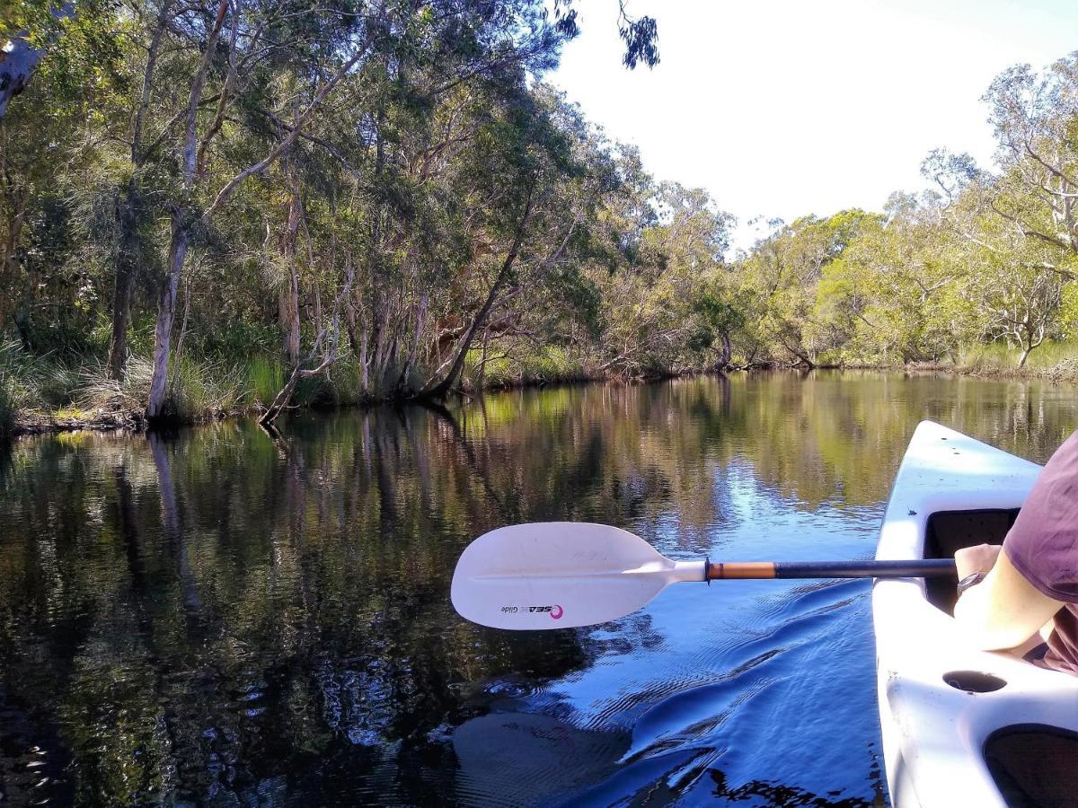 Lake Weyba Noosa Lodge & Kangaroos 페레지안 비치 외부 사진