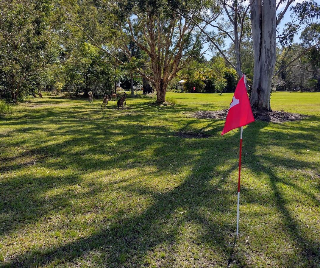Lake Weyba Noosa Lodge & Kangaroos 페레지안 비치 외부 사진