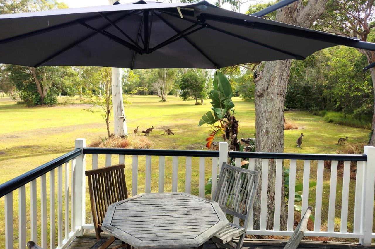 Lake Weyba Noosa Lodge & Kangaroos 페레지안 비치 외부 사진