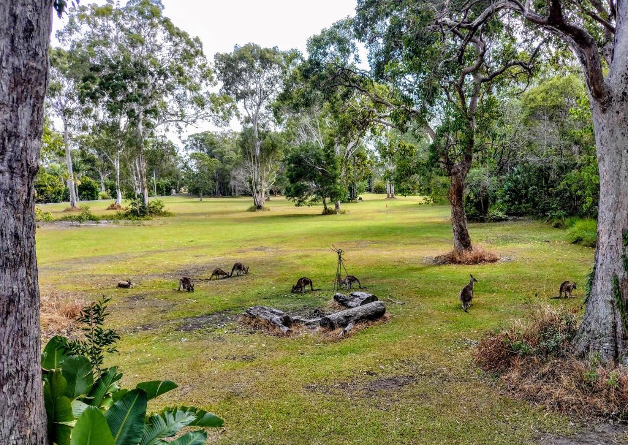 Lake Weyba Noosa Lodge & Kangaroos 페레지안 비치 외부 사진