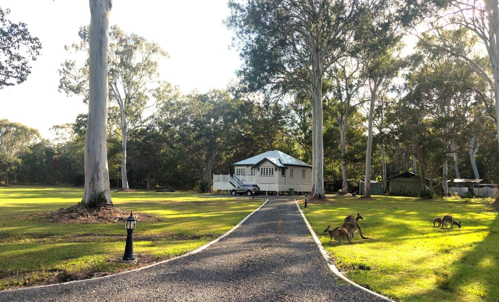 Lake Weyba Noosa Lodge & Kangaroos 페레지안 비치 외부 사진