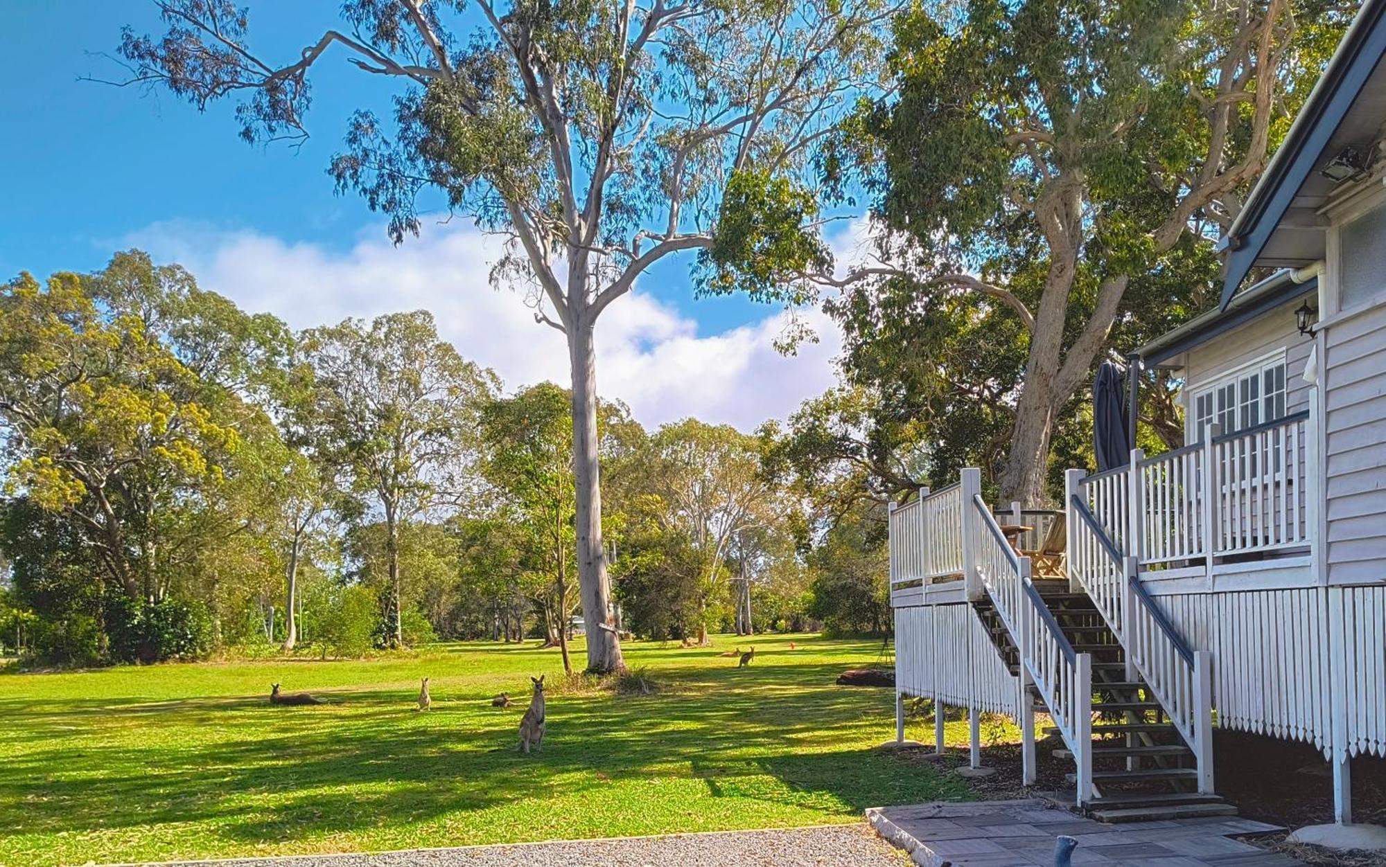 Lake Weyba Noosa Lodge & Kangaroos 페레지안 비치 외부 사진
