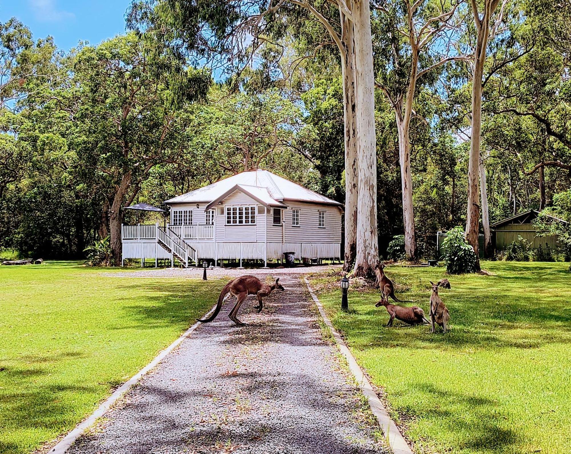 Lake Weyba Noosa Lodge & Kangaroos 페레지안 비치 외부 사진